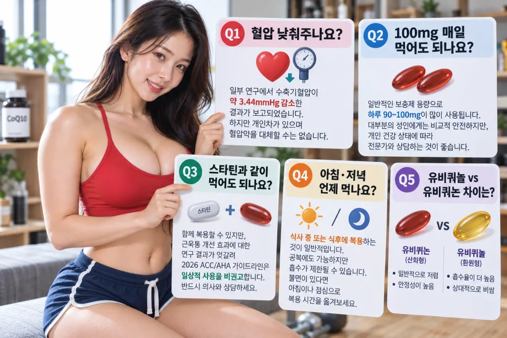 코큐텐 코엔자임Q10 자주 묻는 질문 혈압 부작용 복용시간