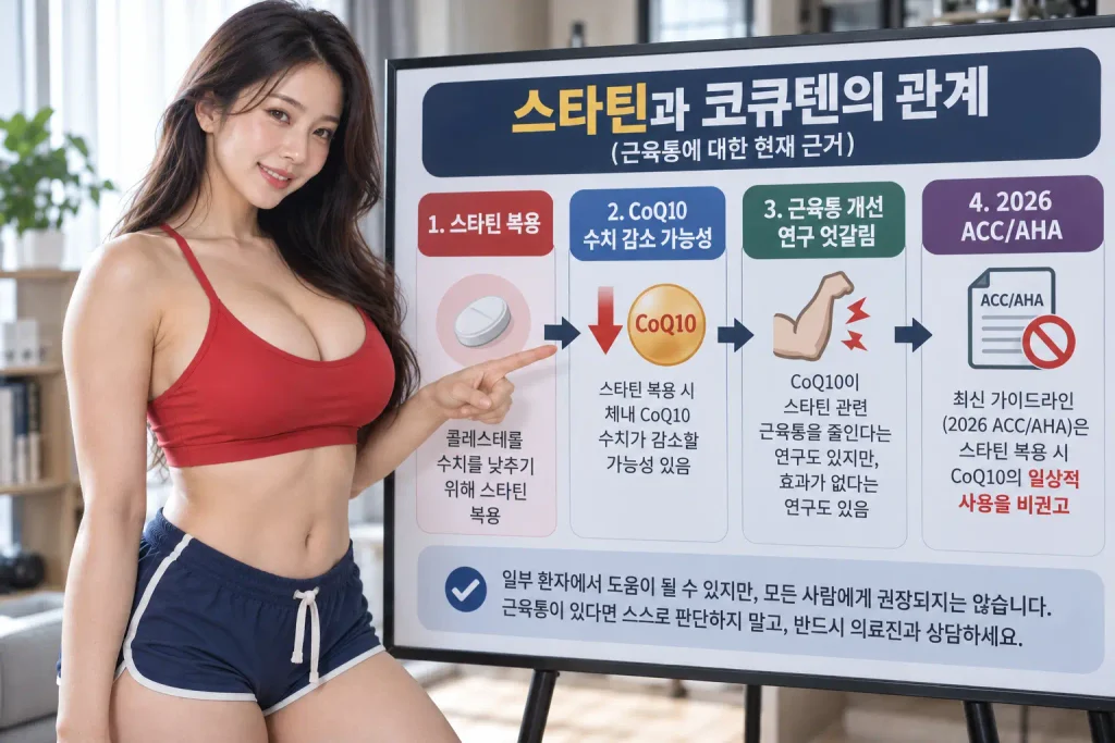스타틴 코큐텐 근육통 CoQ10 효과 2026 가이드라인